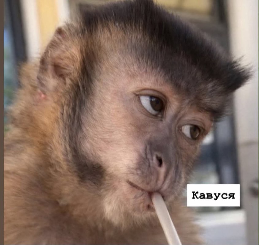 Крістіна profile