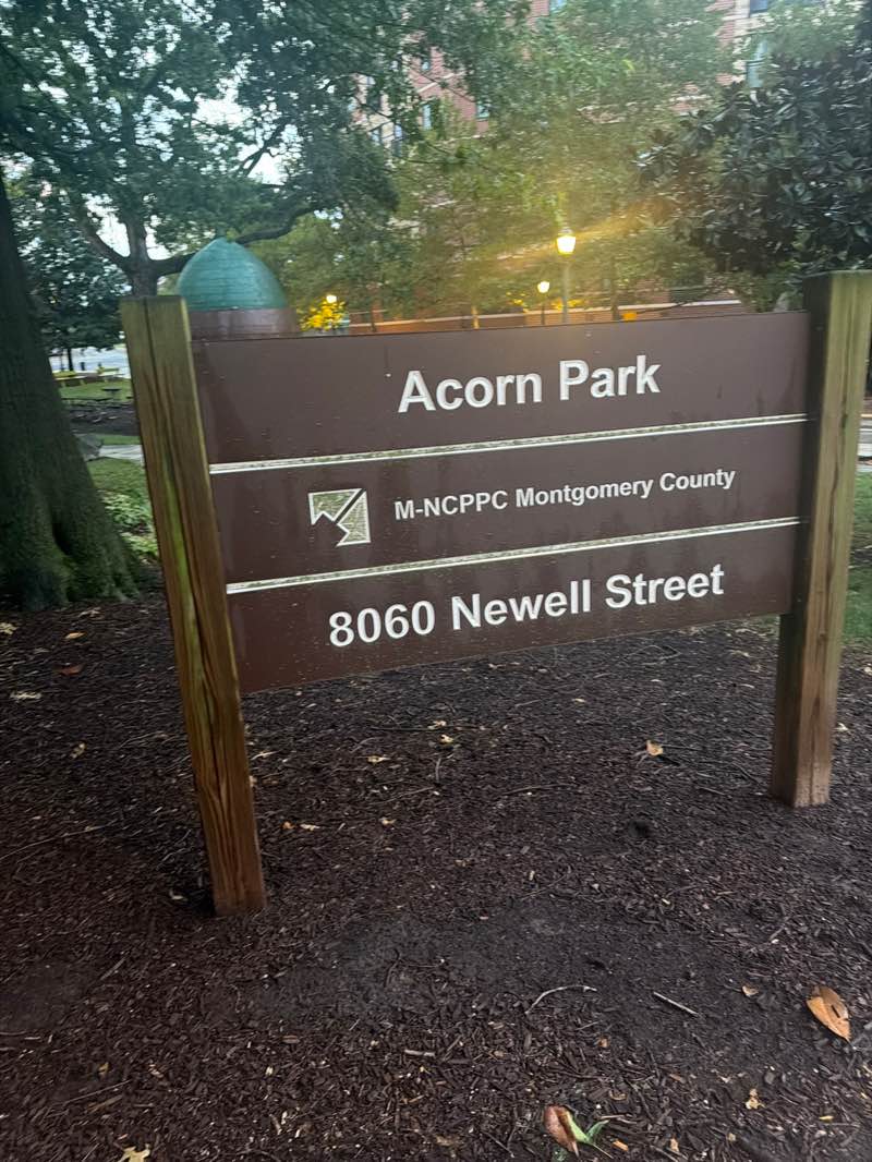 walking near me in Acorn Park in summer