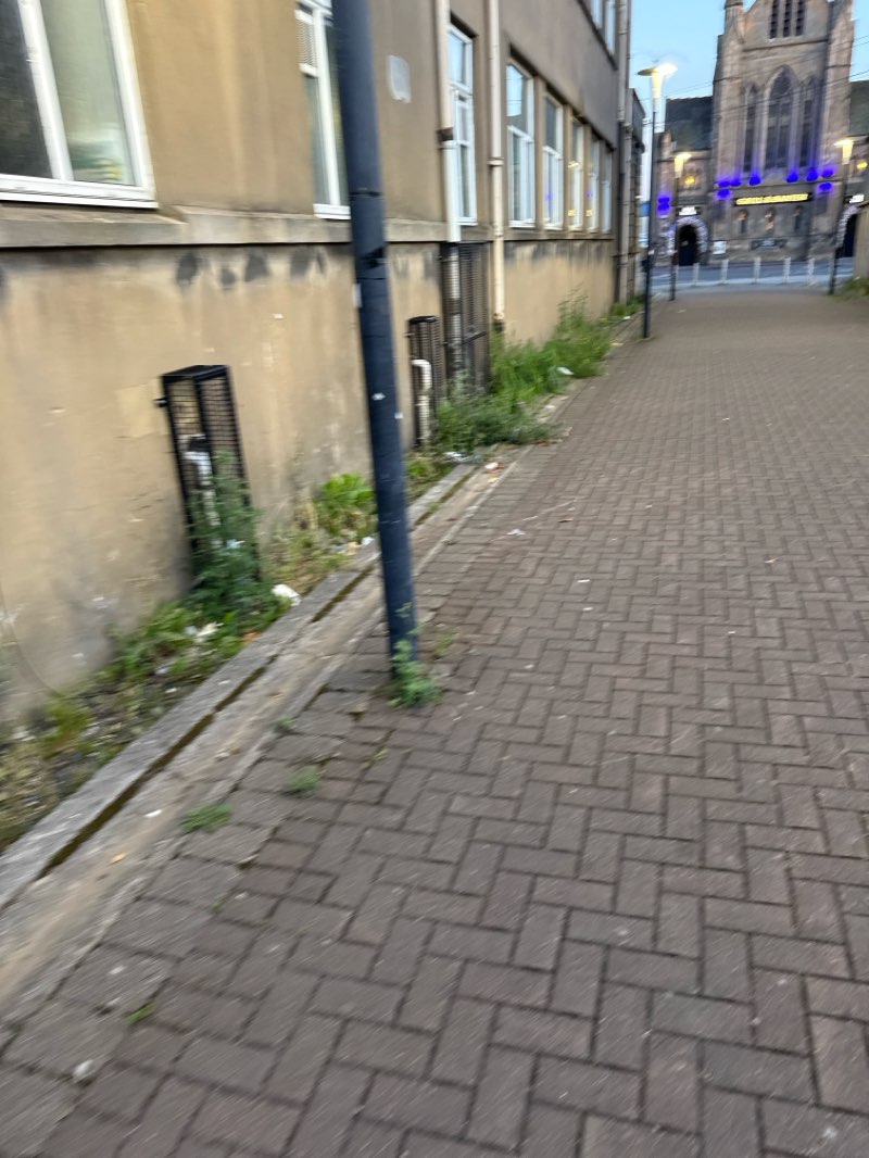 walking near me in Coo Park in summer