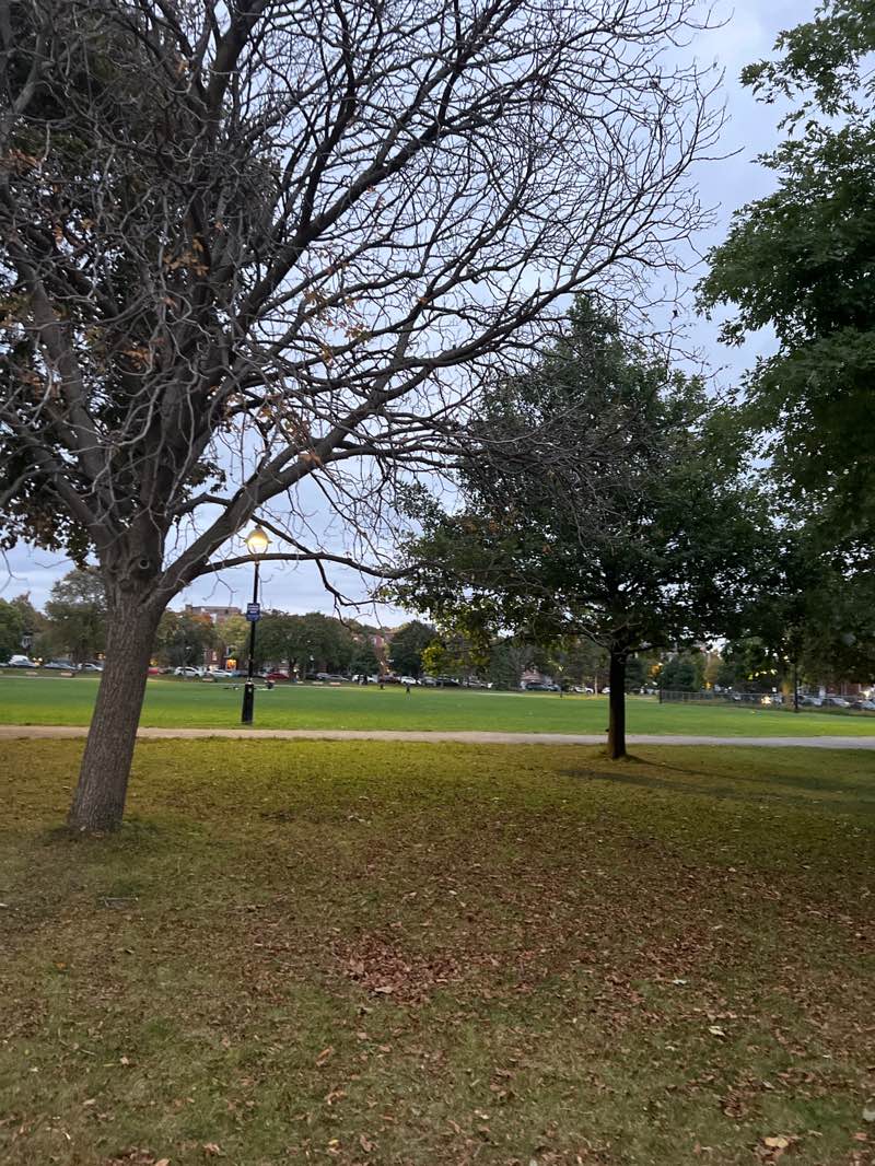 walking near me in Parc Van Horne in autumn