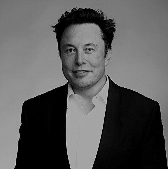 Elon Musk profile