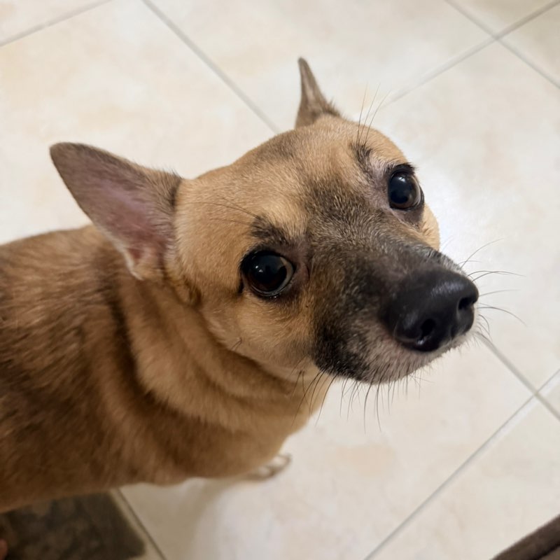 Jem profile
