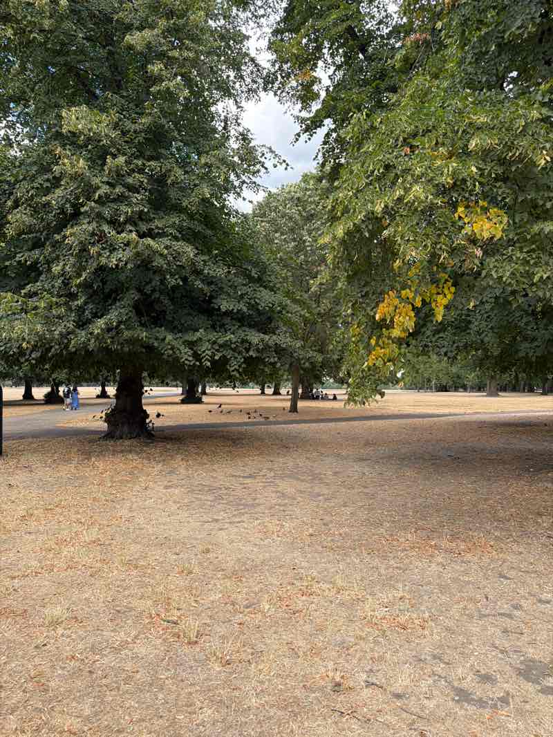 walking near me in Hyde Park in summer
