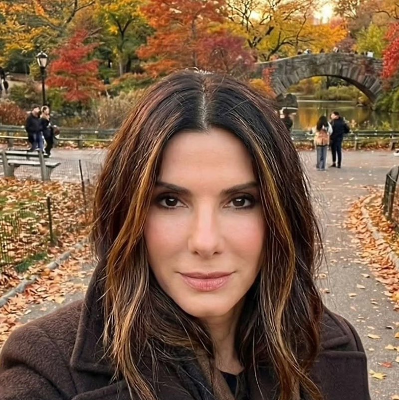 Sandra bullock