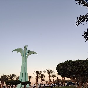 بشير أحمد طاهر