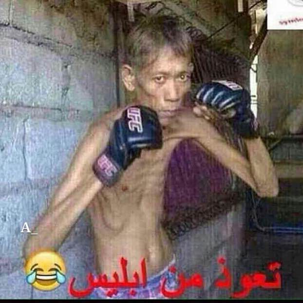 ابوحسيبه Lamar post image