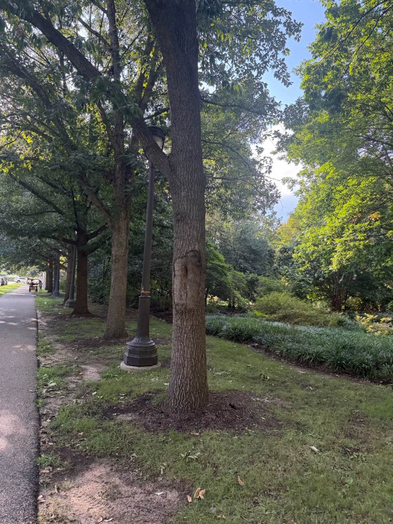 walking near me in Schuylkill Banks in summer