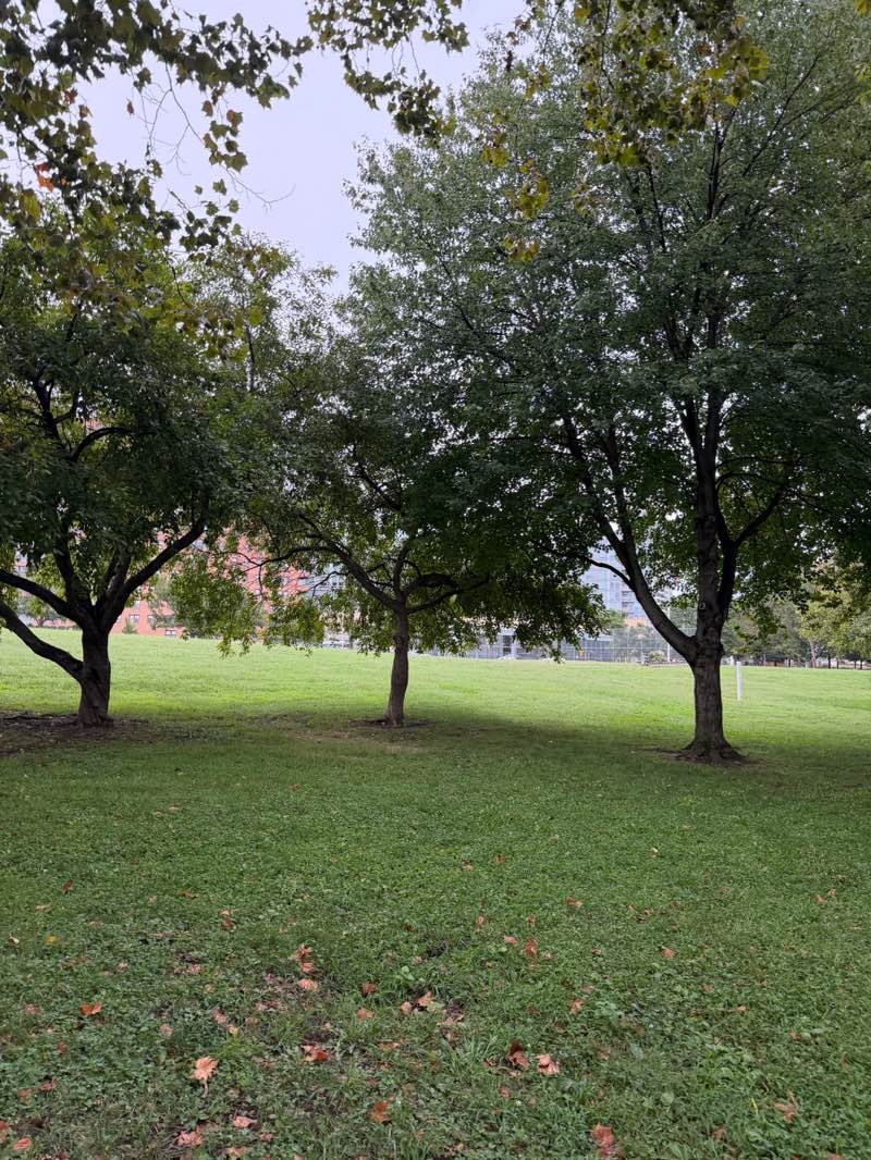 walking near me in Fairmount Park in autumn