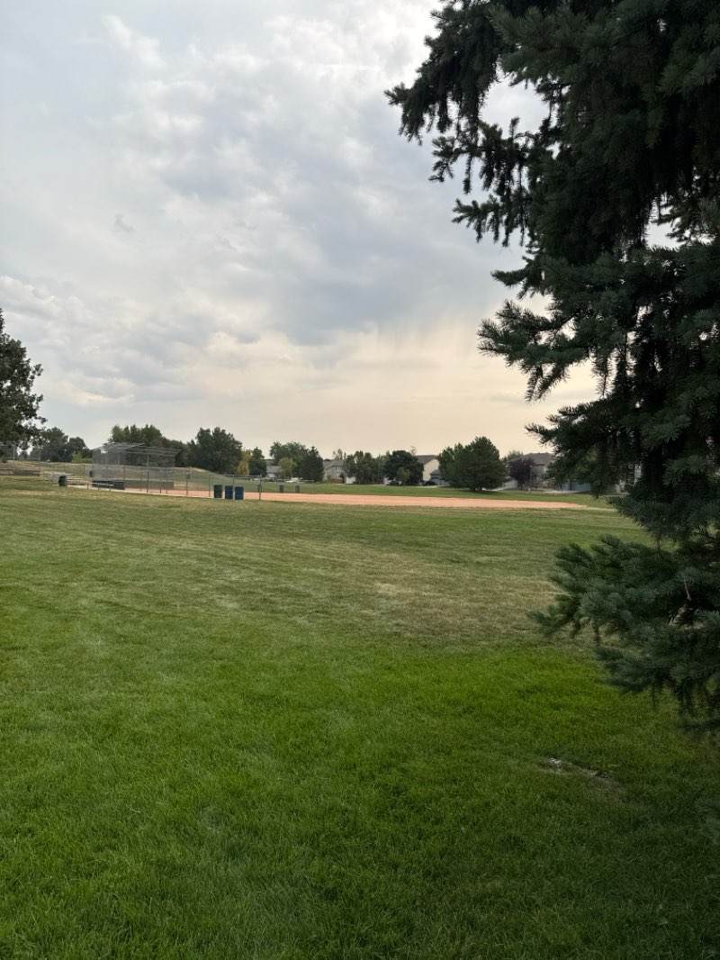 walking near me in Sky Lake Park in summer