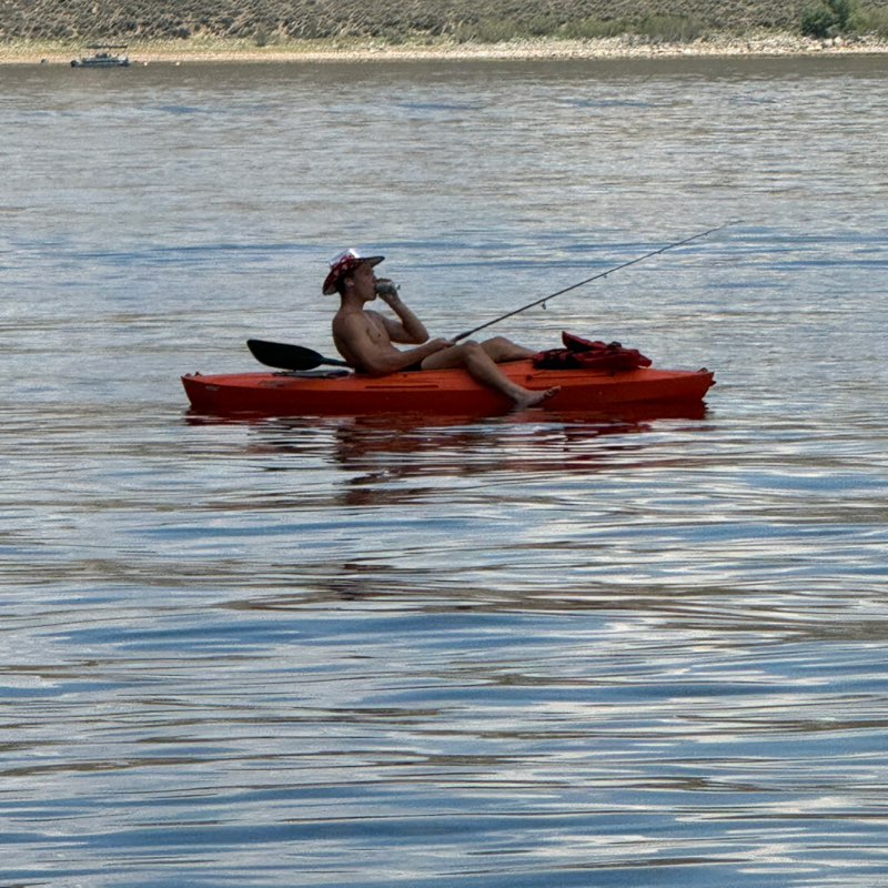 Brant icon