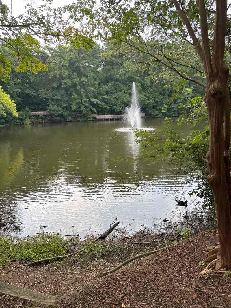 walking near me in Georgetown Lake Park in summer