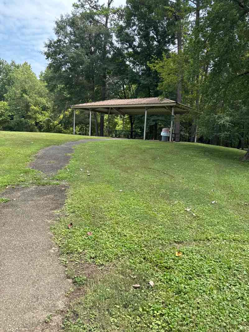 walking near me in Loch Haven Park in summer