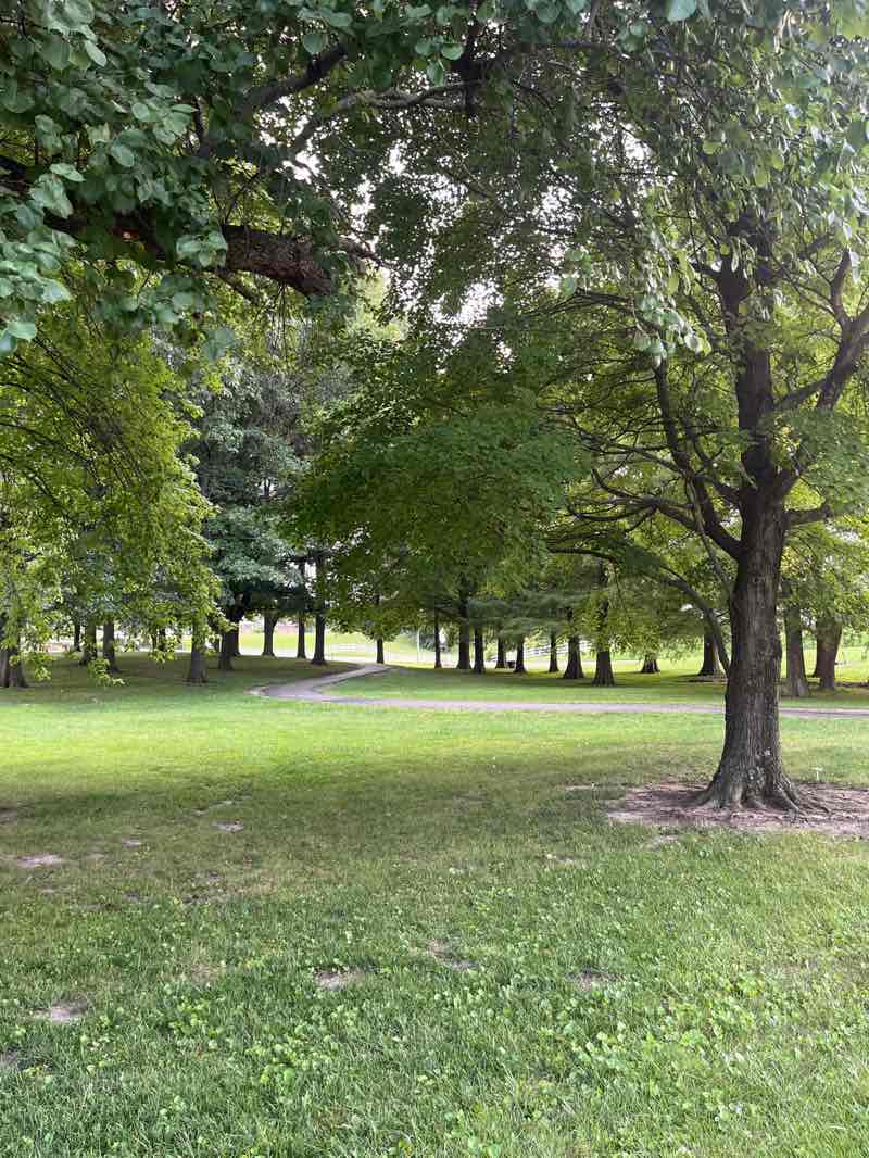 walking near me in Moody Park (Longacre Park) in summer