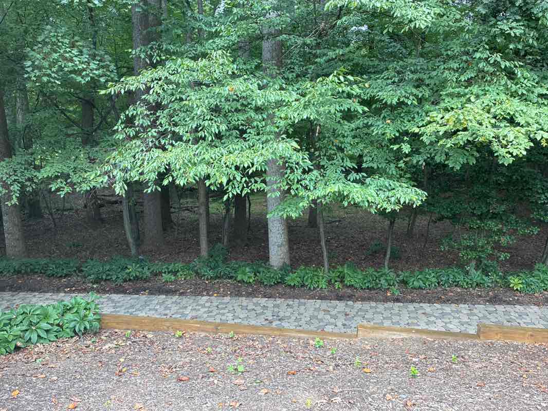 walking near me in Wildwood Park and Trail in summer