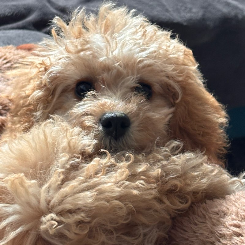 sweetsunny