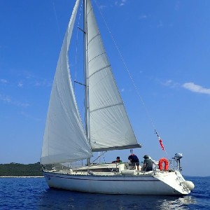 Favio profile
