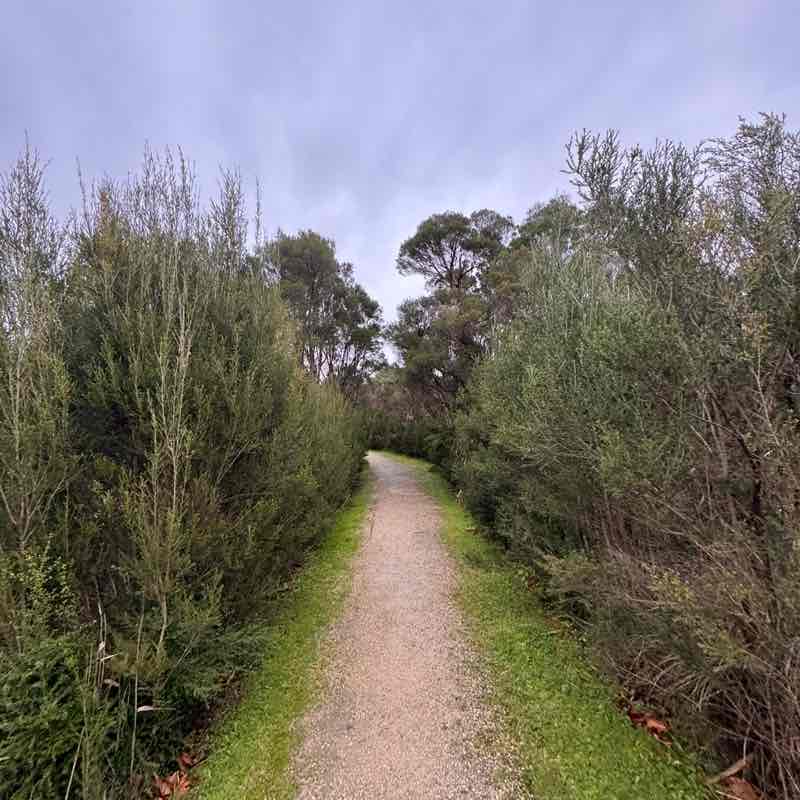 papew 🦘🇦🇺 post 1