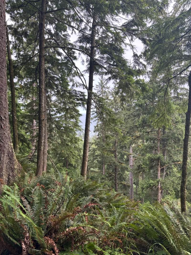 walking near me in Lewis and Clark National Historical Park in summer