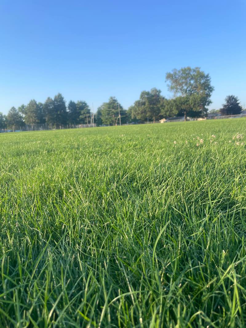 walking near me in Edison Park in summer