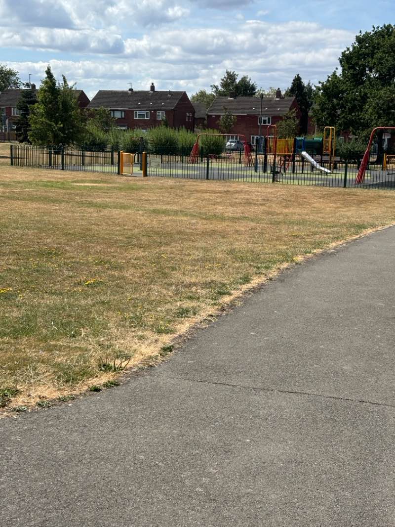walking near me in High Heath Park in summer