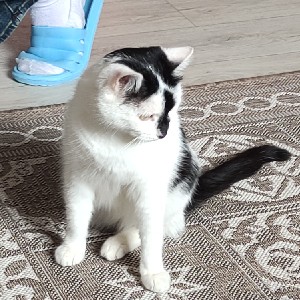 Влад Камарин profile