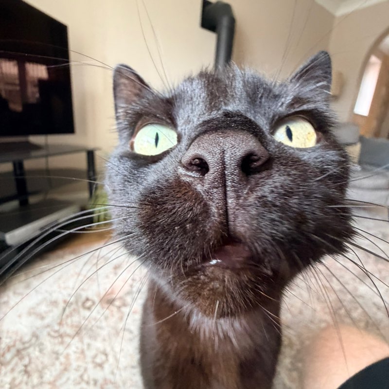 George profile