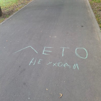 Медрелис Елена Савченко post image