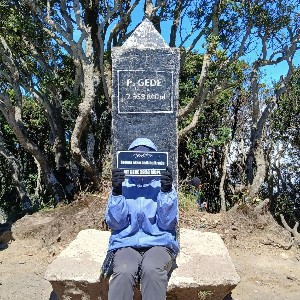 Riana WD profile