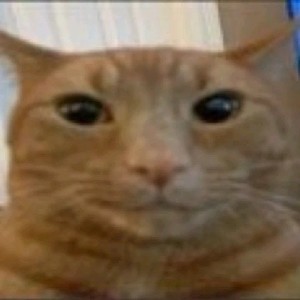 Илья profile