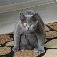 Илья profile