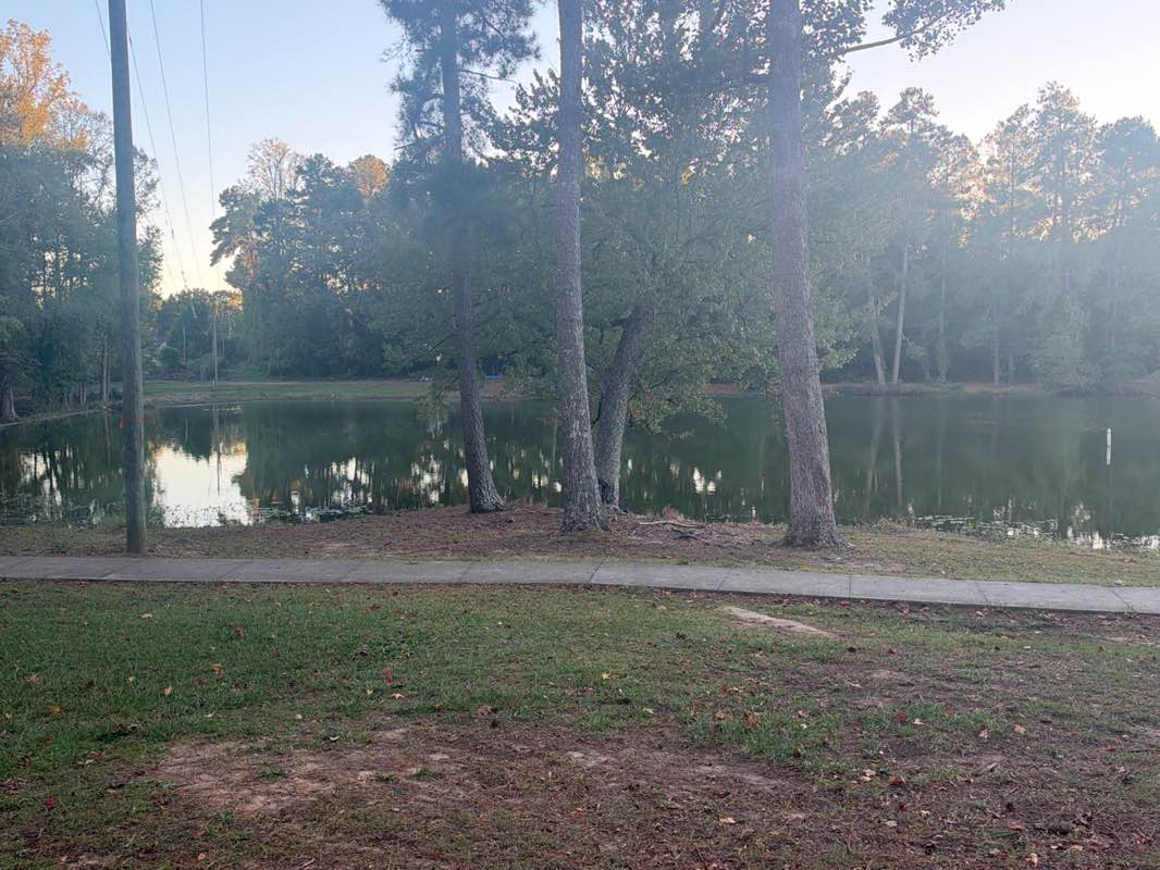 walking near me in Fox Pond Park in autumn