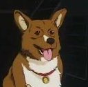 ein icon
