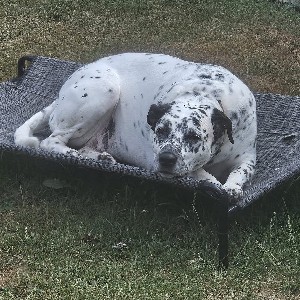 janemorgan383 profile