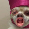 Klownzer profile