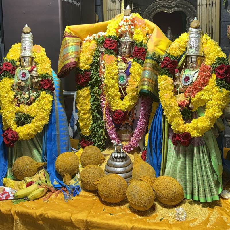 Balaji profile