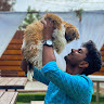 Giri icon