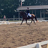 High Rise Dressage