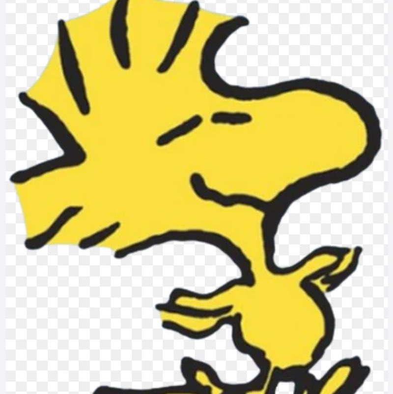 PacerPal profile