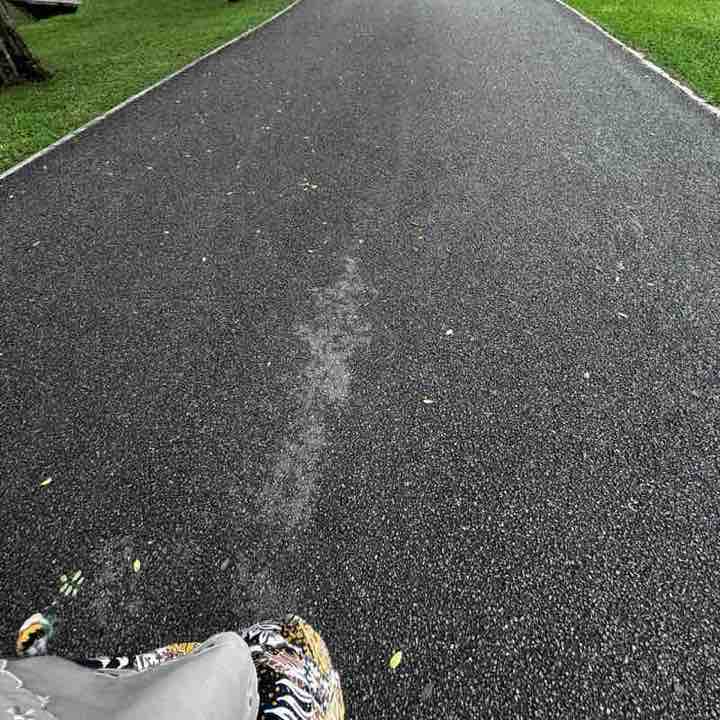 DBL Daily Step Challange ismarul post image