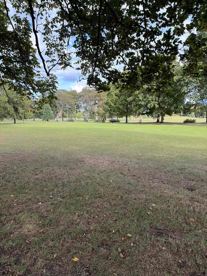 walking near me in Leith Links West in autumn