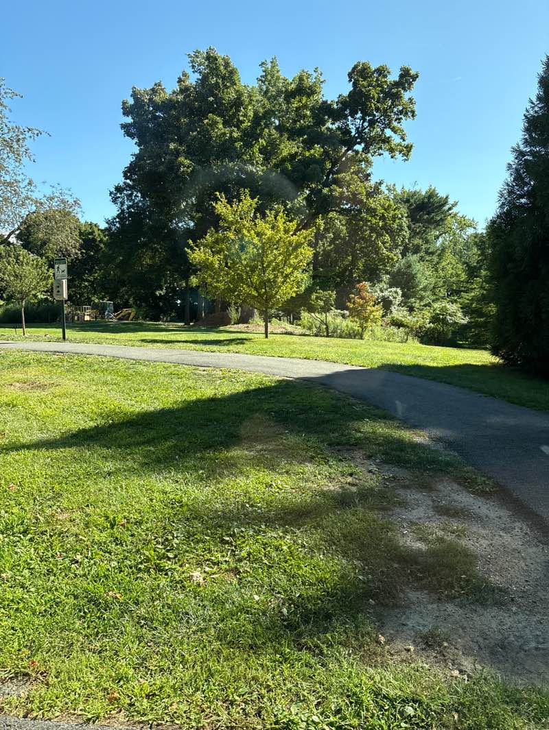 walking near me in Crawford Park in autumn