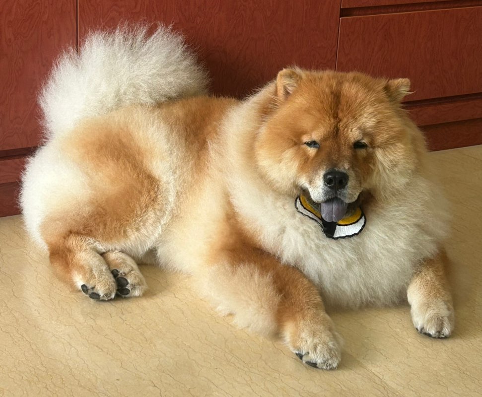 KW Lai icon