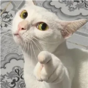 Armi.M icon