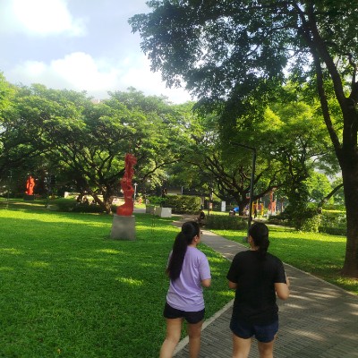 Metro Manila 10,000 Steps Jordan post image