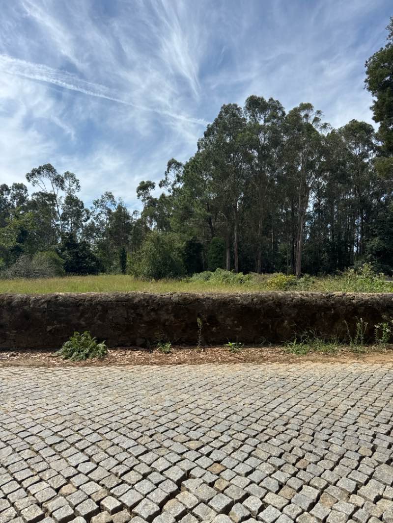 walking near me in Parque de Lazer das Airas in summer