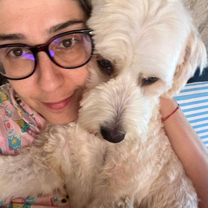 selda icon