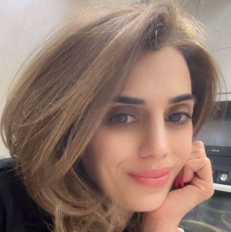 Dina icon