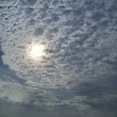 πPR & Solar Walkathon Challenge Jeyalakshmi I post image