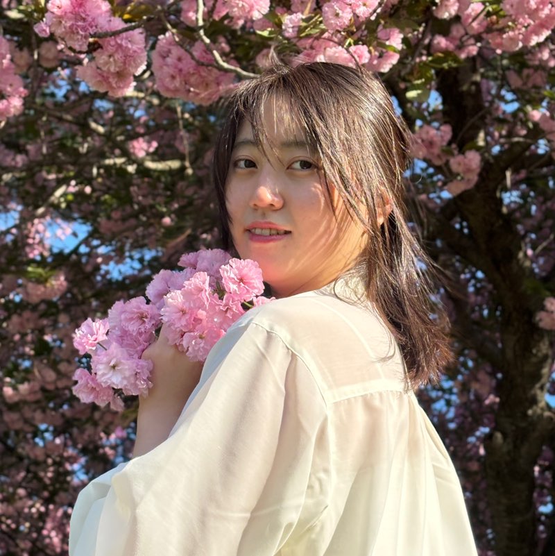 Chae icon