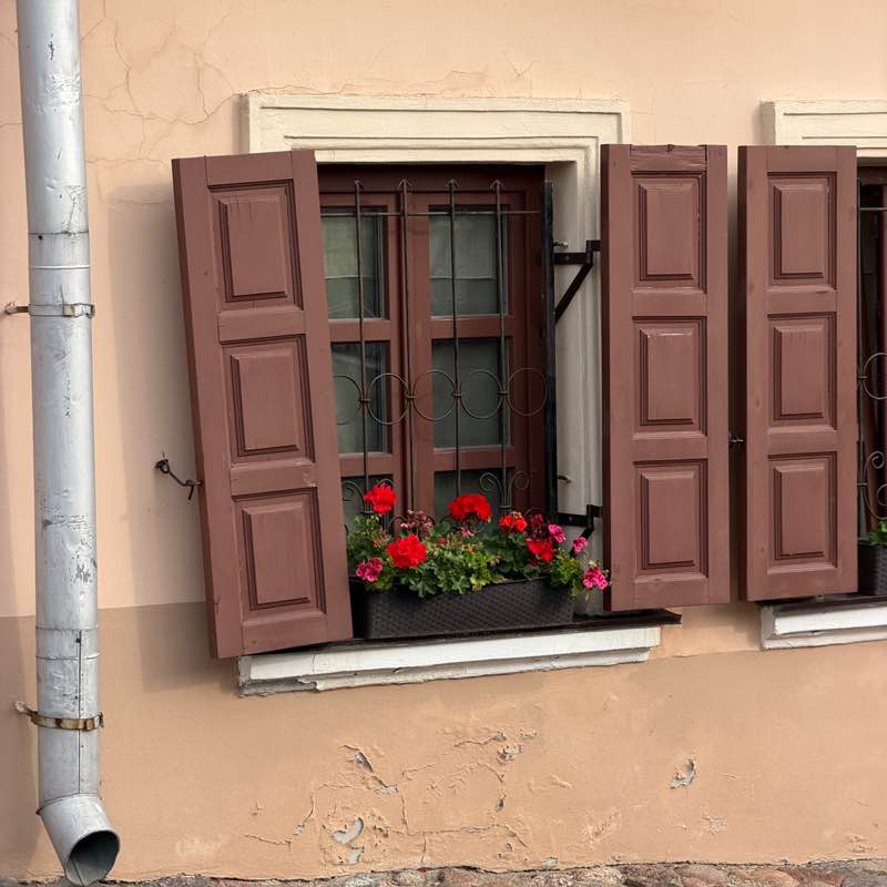 cs_pntr Анна Андреевна post image